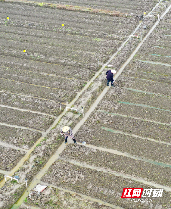 DJI_063901.jpg