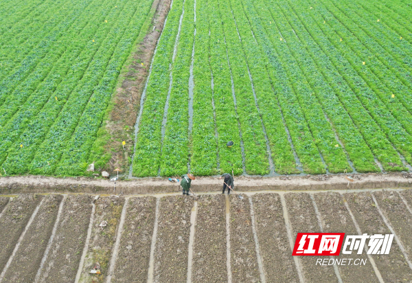 DJI_064101.jpg