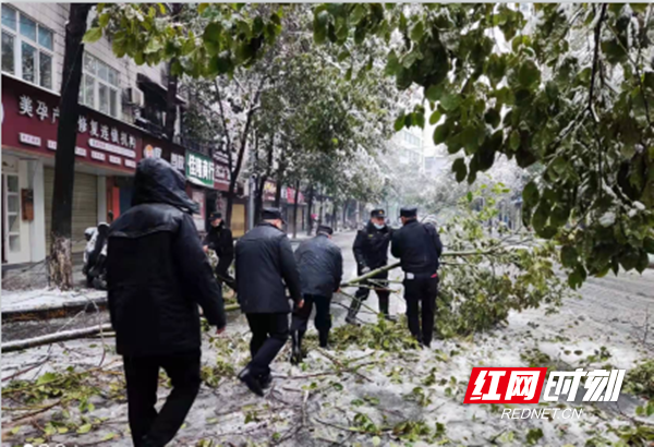 图片7.png