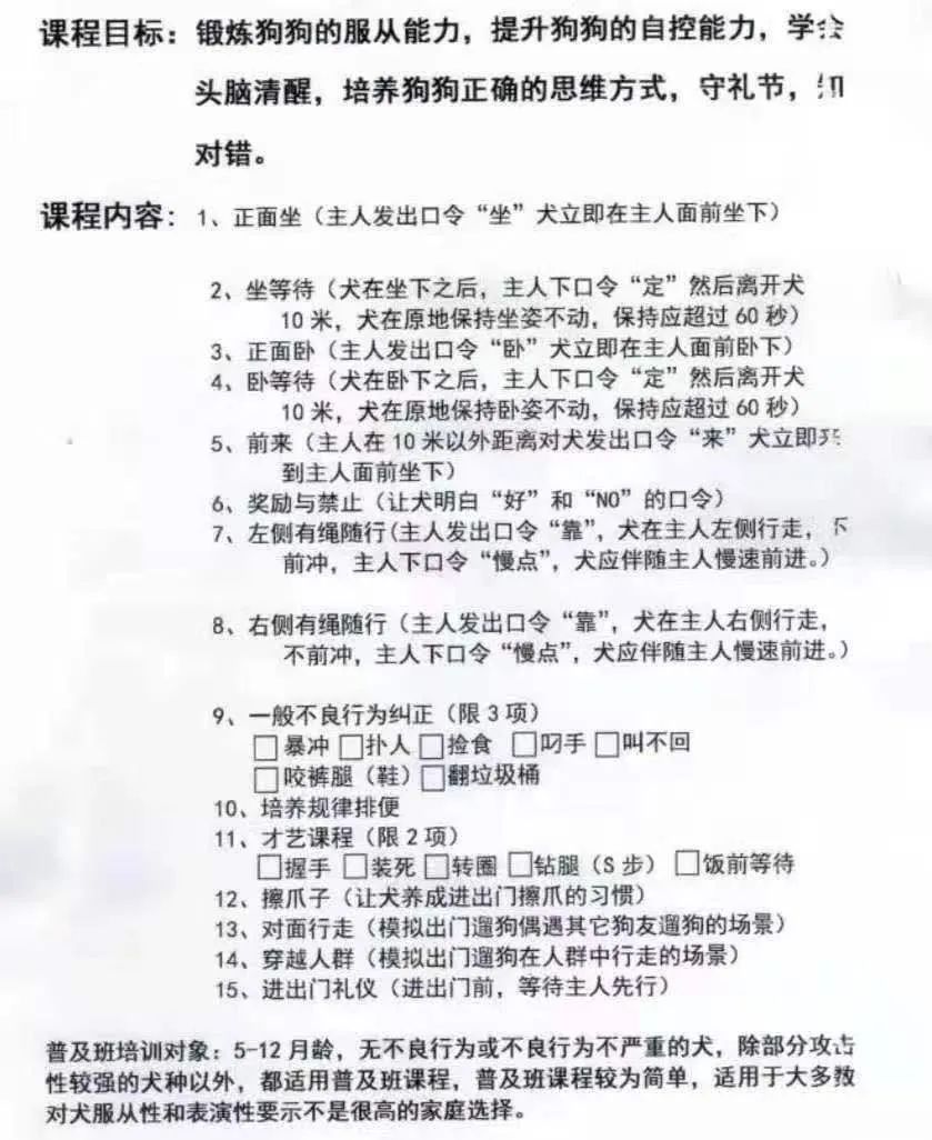 某宠物学校宠物狗培训课程