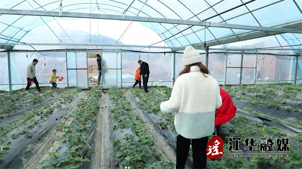 (欢度春节立春踏青）江华：立春踏青 享受春节假期的“莓”好时光[00-00-52][20220204-095838890].jpg