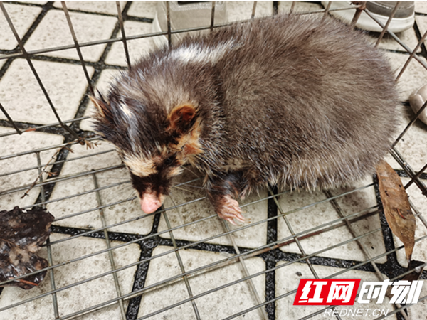 0206_副本.png 0206_副本.png