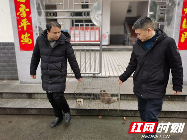 02061_副本.png 02061_副本.png