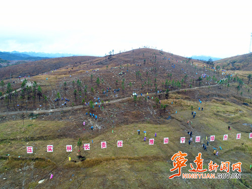 宁远：干群上山植树忙01_副本500.jpg