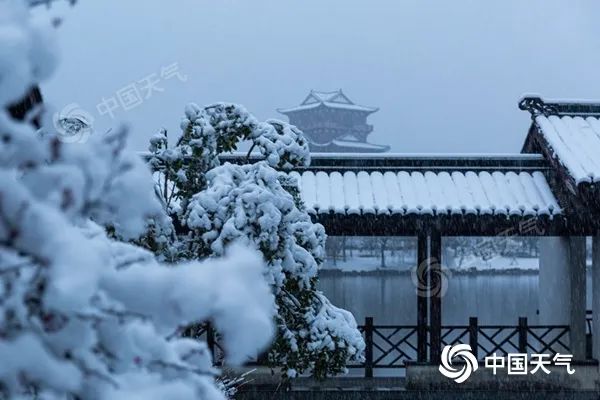 2月7日,湖北黄冈市出现明显降雪,变成银白色的世界。(图/黄鹏)