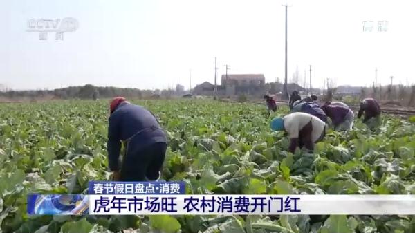 “年味儿”如何找？春节假日出游消费大盘点！