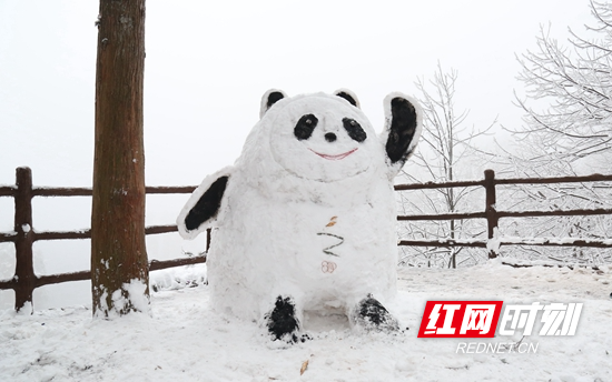 微信图片_20220208151316.jpg
