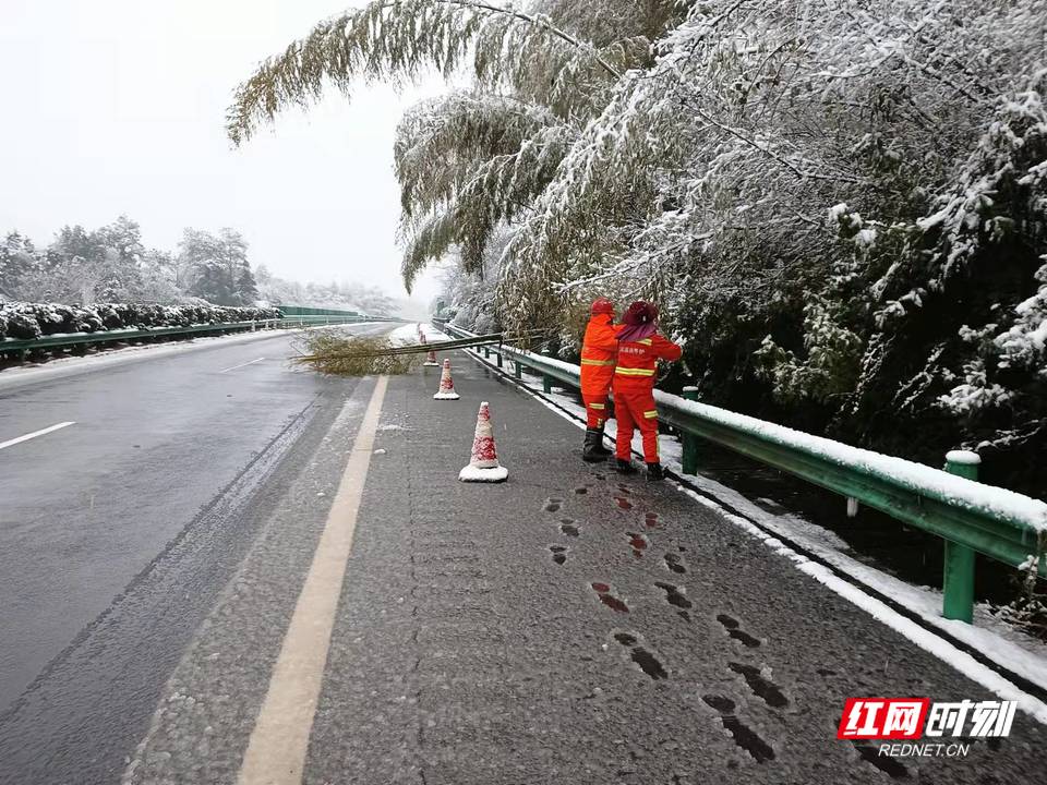 养护员24小时巡逻，清除横木路障.jpg