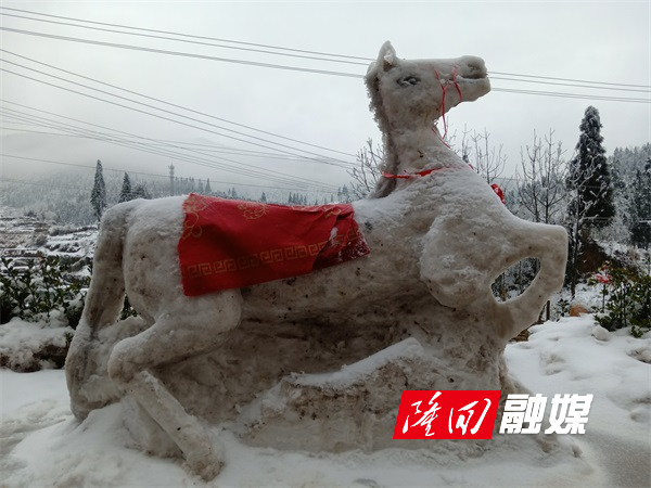 白马.jpg