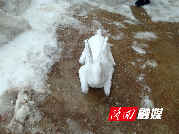 玉兔.jpg
