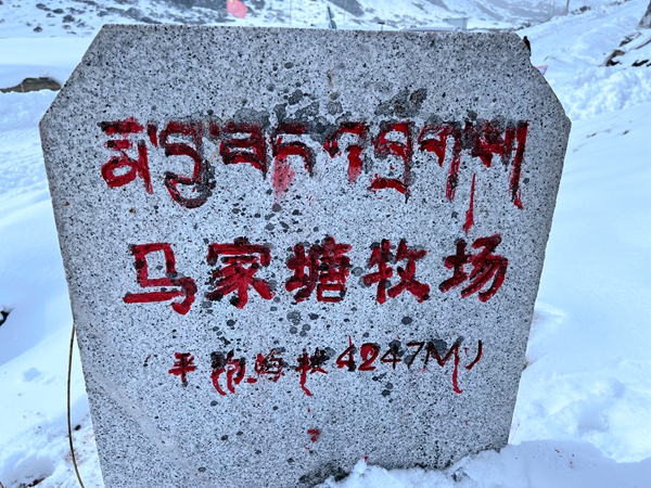 ͼΪ������������ʯ.jpg