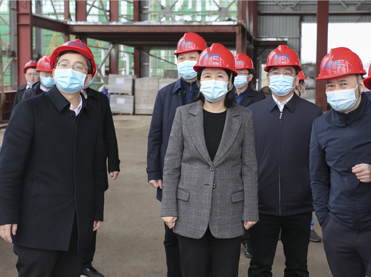 2月10日,郴州市委常委,常务副市长冯海燕到资兴调研产业项目建设,财源