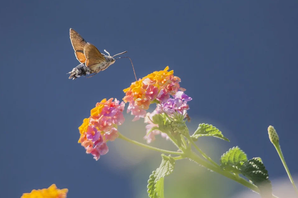 QQ截图20210602105607.png QQ截图20210602105607.png