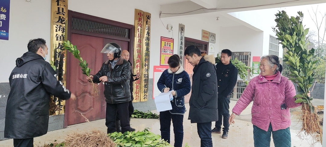 龙海村苗木发放现场图-1.jpg