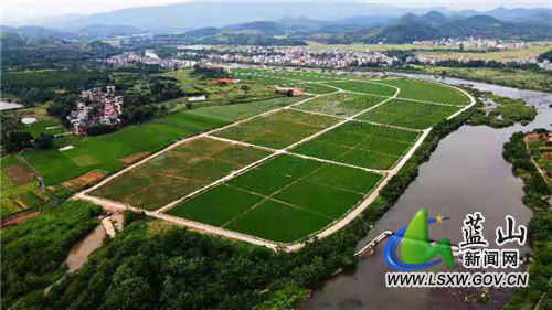 proxy - 2022-02-16T110751.909.jpg