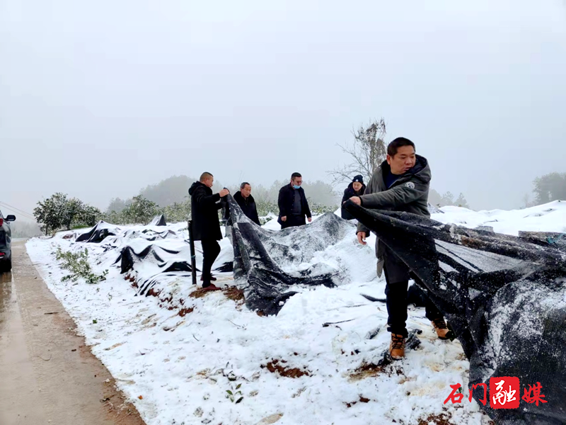 微信图片_20220216091902.png