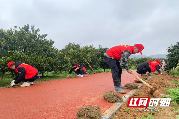 新宁县崀山镇：扎实推进生态文明建设 共建美丽崀山_邵商网