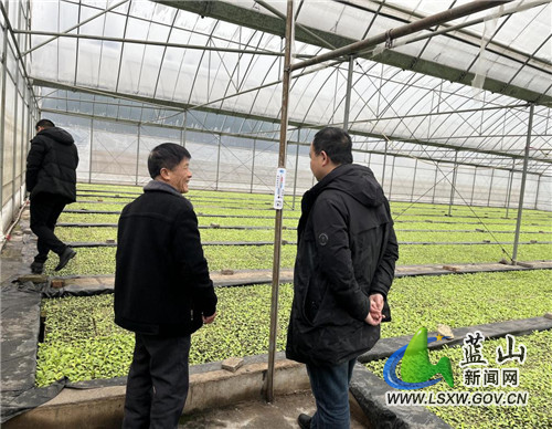 proxy - 2022-02-17T171139.267.jpg proxy - 2022-02-17T171139.267.jpg