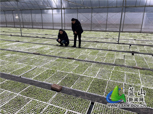 proxy - 2022-02-17T171141.757.jpg proxy - 2022-02-17T171141.757.jpg