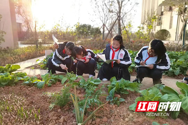 微信图片_20220217174548.jpg
