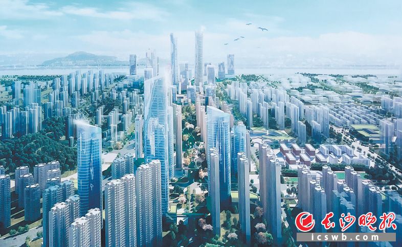 　　观沙岭城市更新片区设计图   资料图片