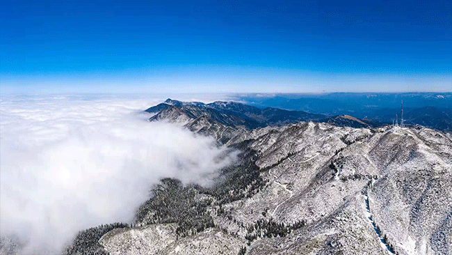 积雪将植被层层覆盖。潘雨摄