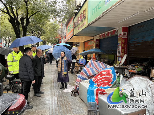 刘素萍率队开展“城市管理提升•我们在行动”活动1.jpg