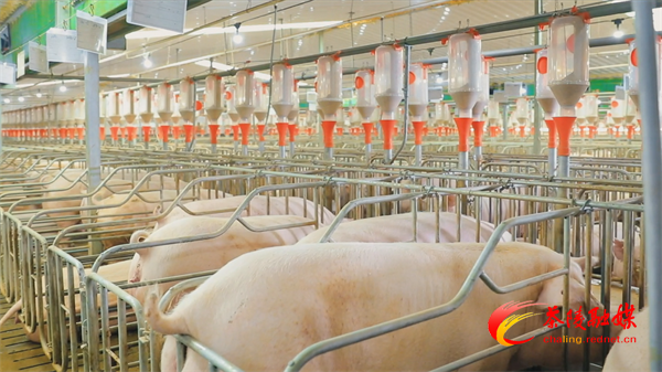 Still0218_00002.bmp Still0218_00002.bmp