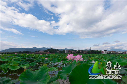 微信图片_20220218172117.jpg 微信图片_20220218172117.jpg