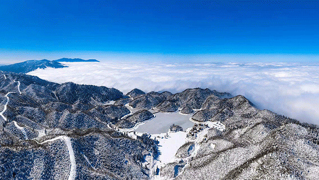 漫山遍野似被一层银纱包裹。潘雨摄