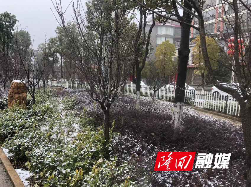 ba649d2ef62521ab61be12247d7c4f9.png ba649d2ef62521ab61be12247d7c4f9.png