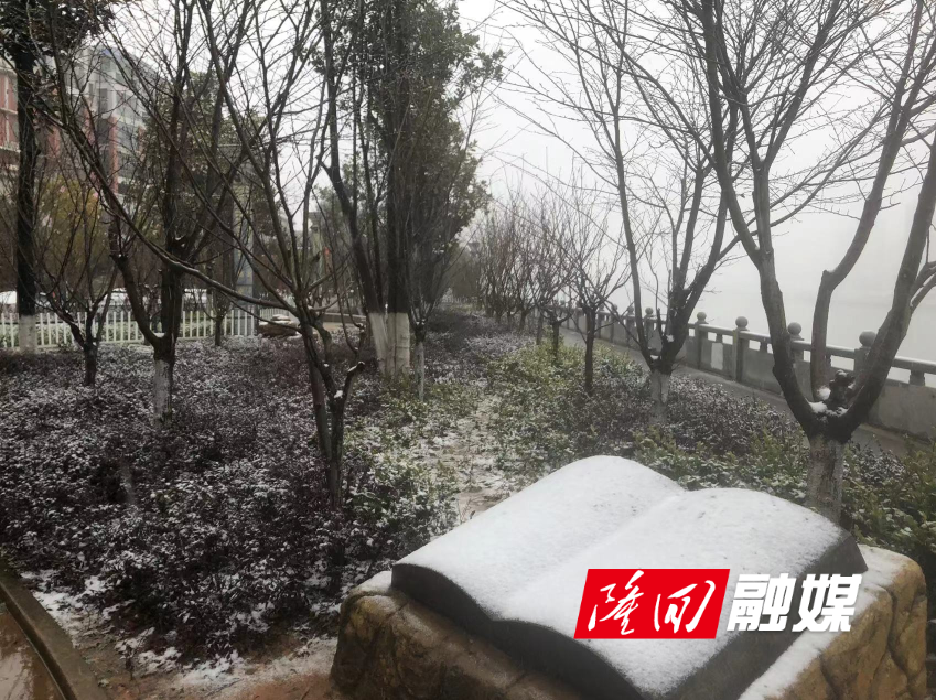 138a33bdd3259b418c2c024bf20f1b9.png 138a33bdd3259b418c2c024bf20f1b9.png