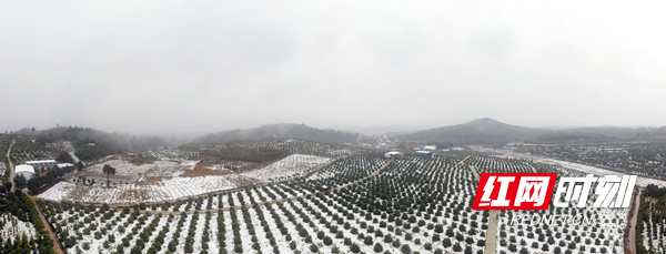 大山铺雪景.jpg