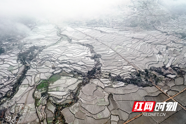 11七贤山梯田雪景_副本.jpg