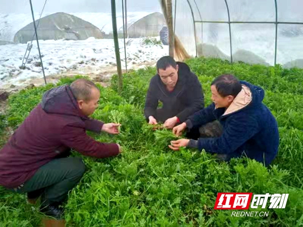 微信图片_20220222204601.jpg 微信图片_20220222204601.jpg