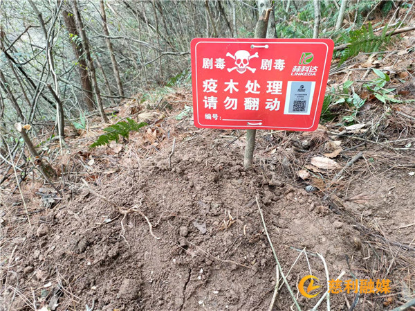 微信图片_202202221511064_副本_副本1.jpg