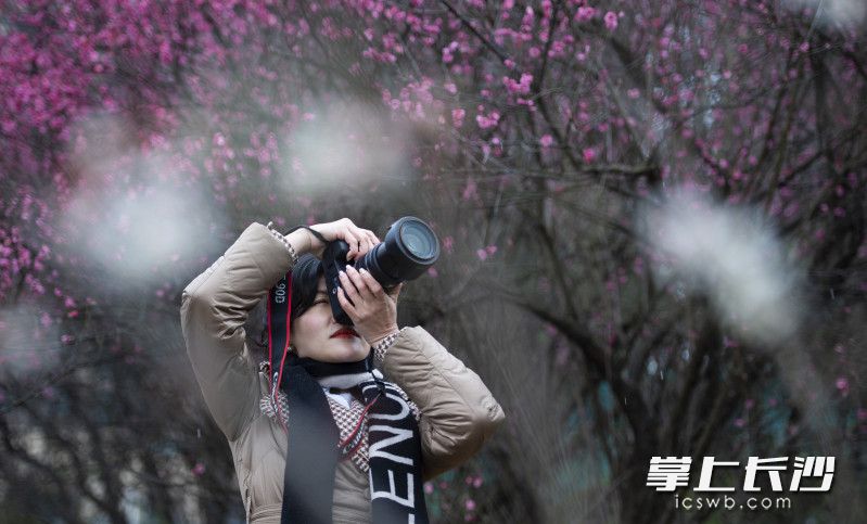 一位摄影爱好者正在拍照。