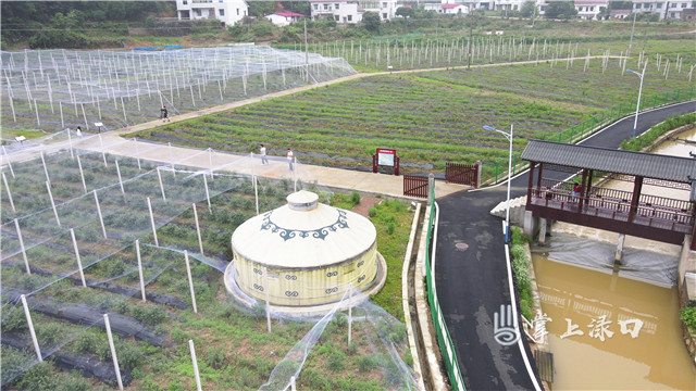 afb66043bd1df0bf19653a9c7bebaba.jpg afb66043bd1df0bf19653a9c7bebaba.jpg