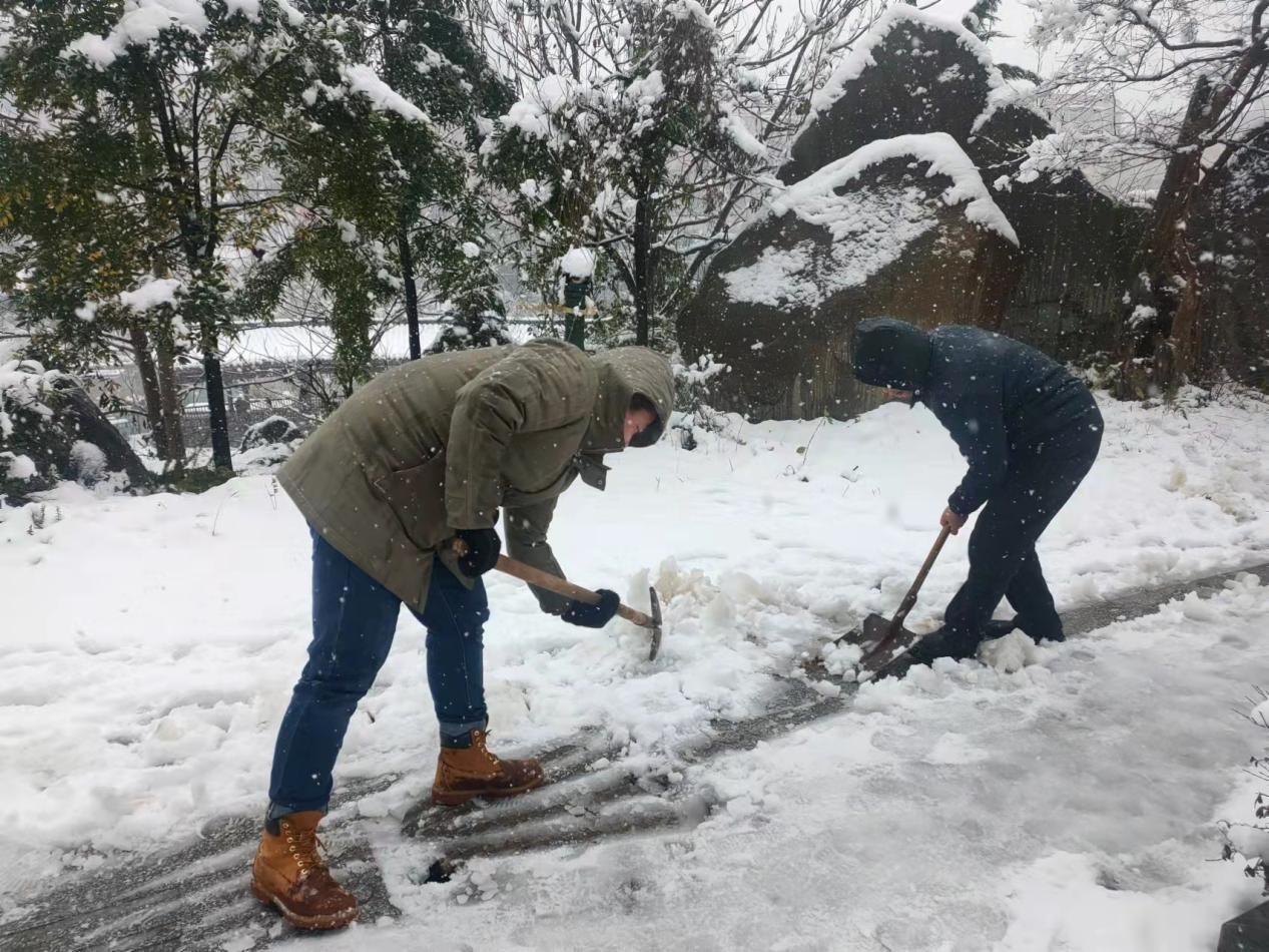 图片1.jpg 图片1.jpg