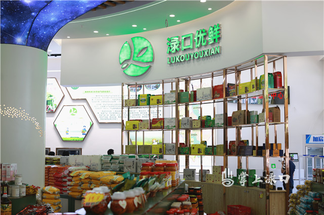 1V1A8037.jpg 1V1A8037.jpg