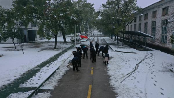 扫雪后，公司道路洁净如初。.jpg