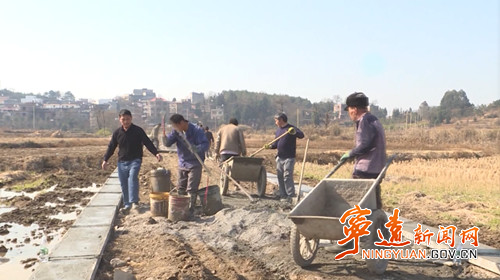 宁远：高标准农田助农增收03_副本500.jpg