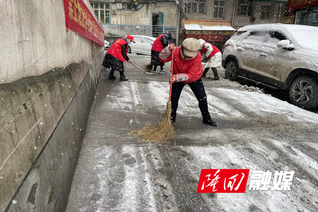 桃花坪街道积极抗击冰雪灾害.jpg