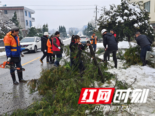 隆回县荷香桥镇党员志愿者积极应对雨雪冰冻天气_邵商网