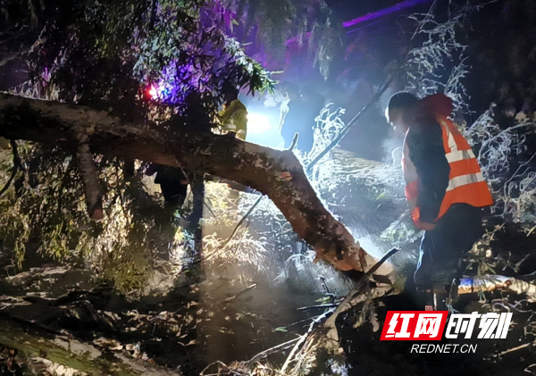 隆回县222_副本.jpg 隆回县222_副本.jpg