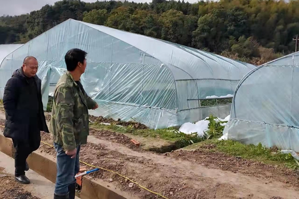 农业受损巡查_副本.jpg