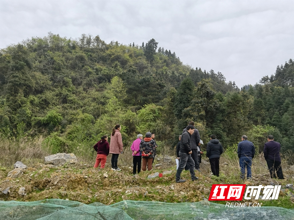 图片10.jpg