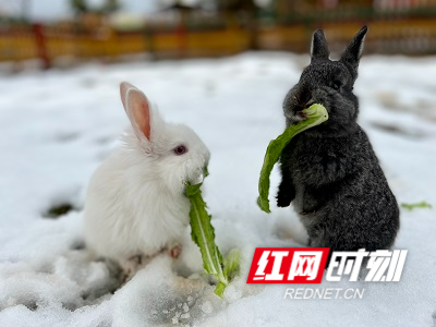 微信图片_20220223154916.jpg 微信图片_20220223154916.jpg