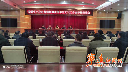 宁远县召开烤烟生产应对持续低温雨雪恶劣天气工作安排暨推进会_副本500.jpg