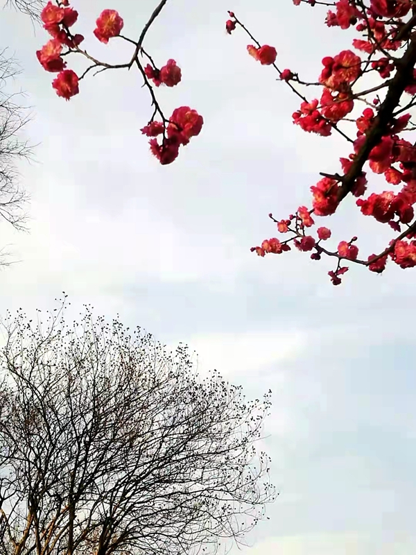 微信图片_20220224093158.jpg